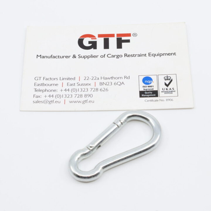 CH0002EG - 200kg Carabiner Spring Snap Hook - with Business Card for Scale